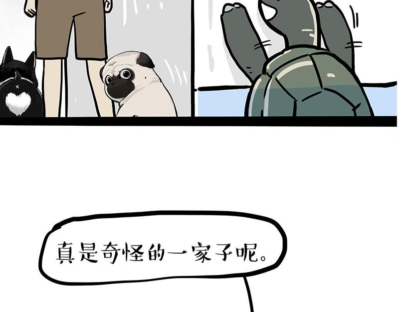 第299话 真假虚实62