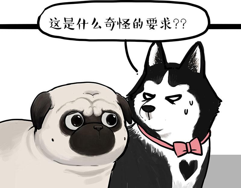 第299话 真假虚实68