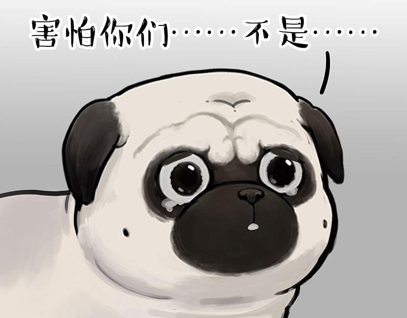 第299话 真假虚实71