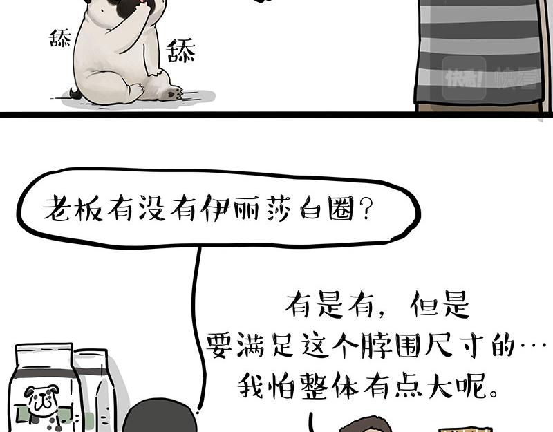 第300话 狗也有文化22