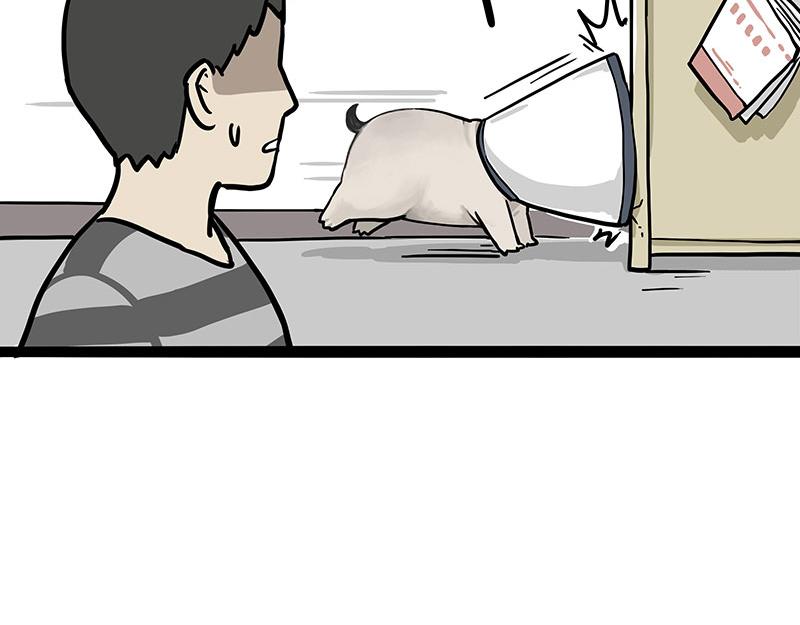 第300话 狗也有文化28