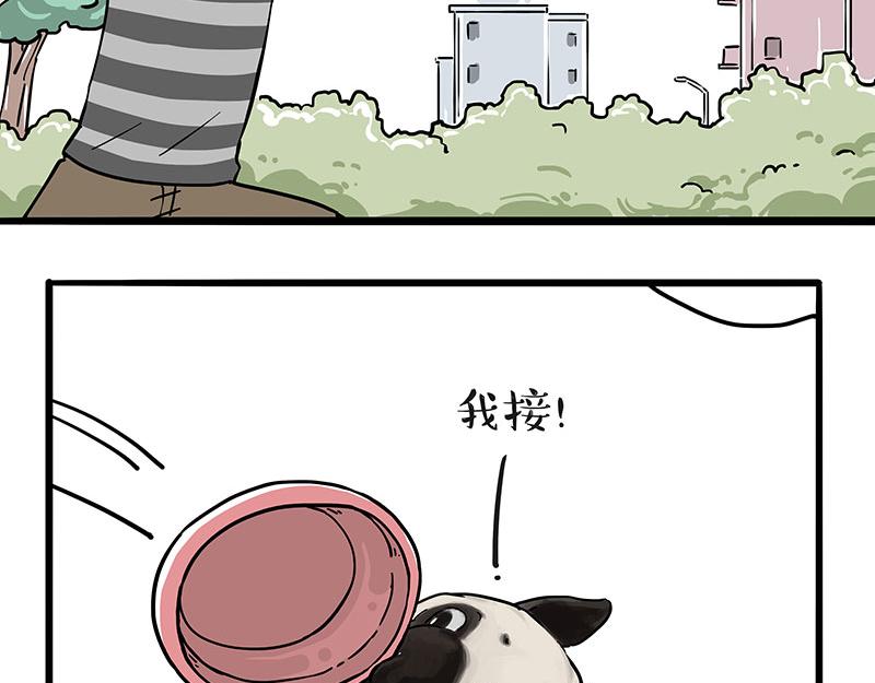 第305话 白表白了11