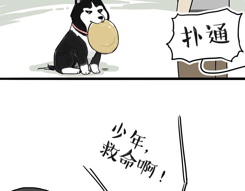 第305话 白表白了18