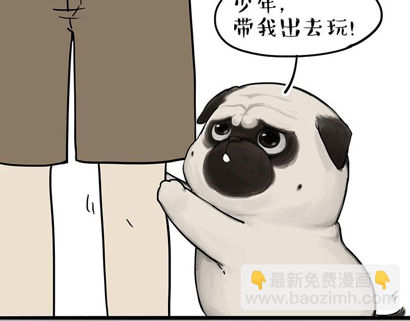 第305话 白表白了2