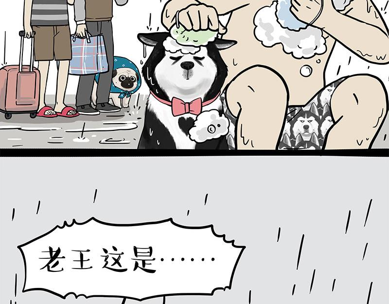 第306话 不辛苦，命苦30