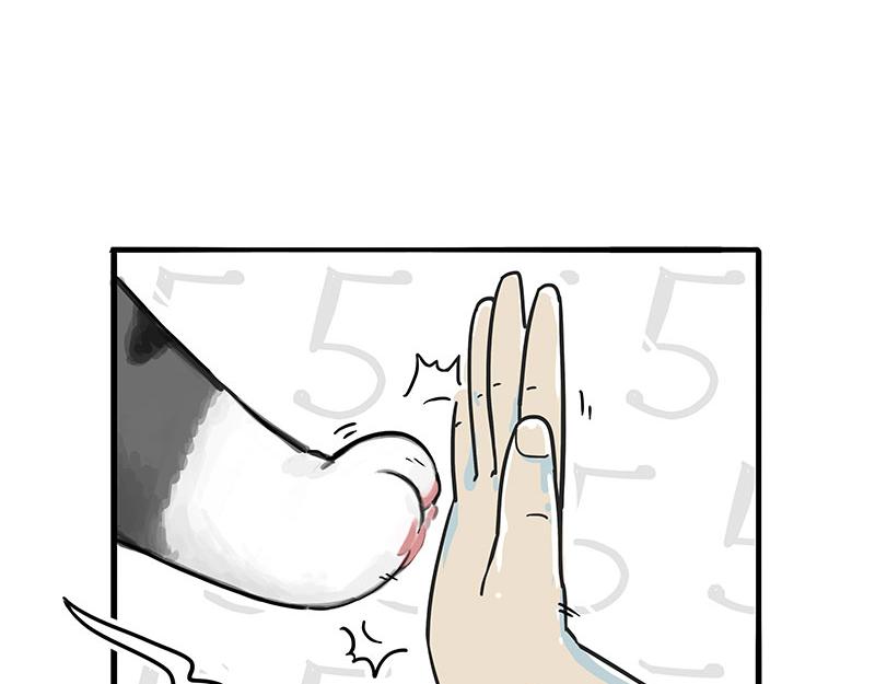 第307话 面相大解析20