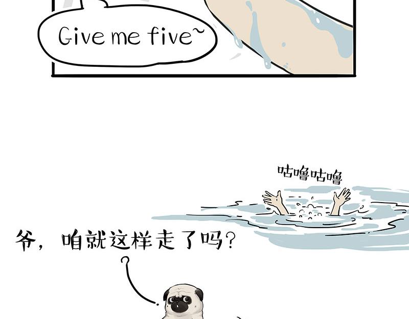 第307话 面相大解析21