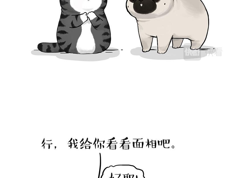 第307话 面相大解析26
