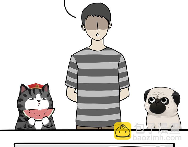 第307话 面相大解析3