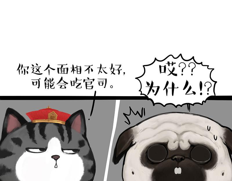 第307话 面相大解析30