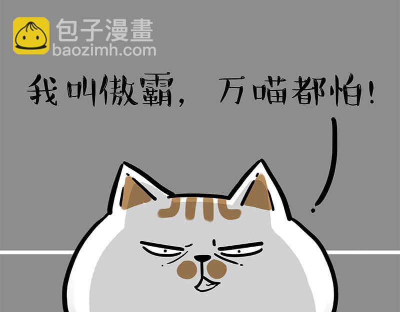 第308话 恶霸最大！16