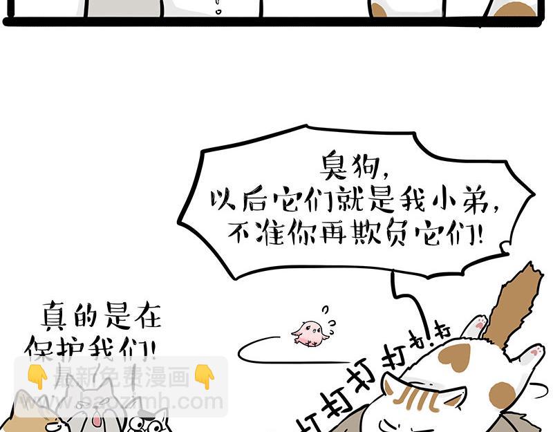 第308话 恶霸最大！20