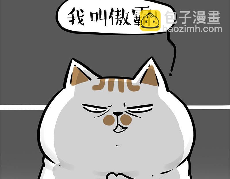 第308话 恶霸最大！22