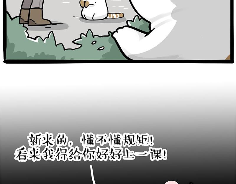 第308话 恶霸最大！3