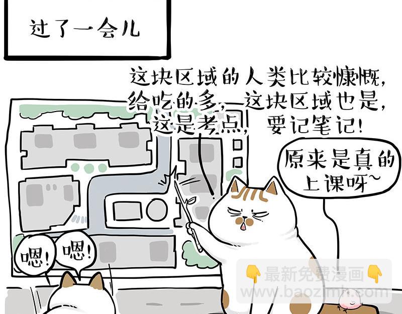 第308话 恶霸最大！5