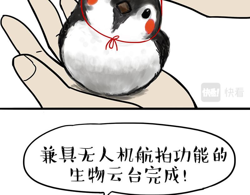 第309话 不妙小喵招10
