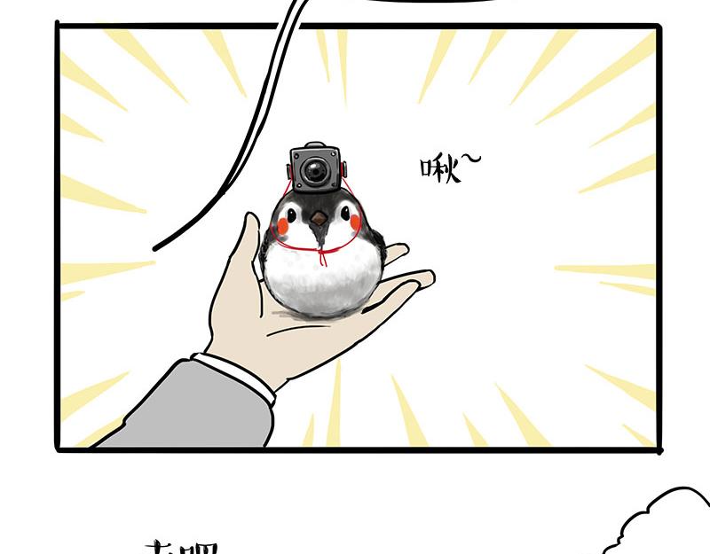 第309话 不妙小喵招11