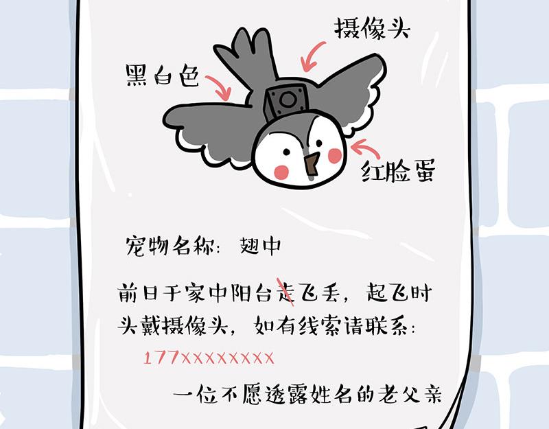 第309话 不妙小喵招14