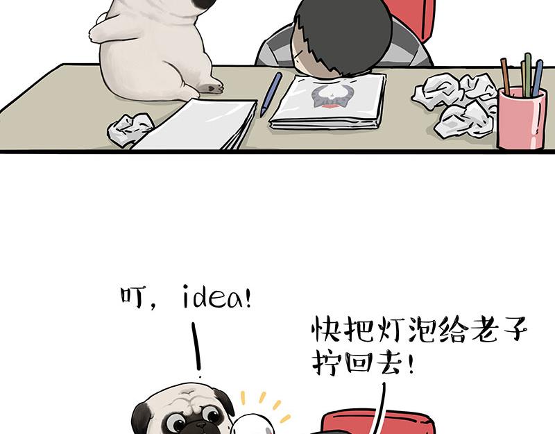 第309话 不妙小喵招18
