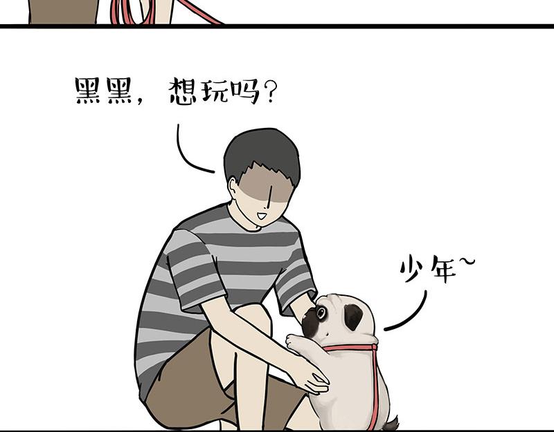 第309话 不妙小喵招22