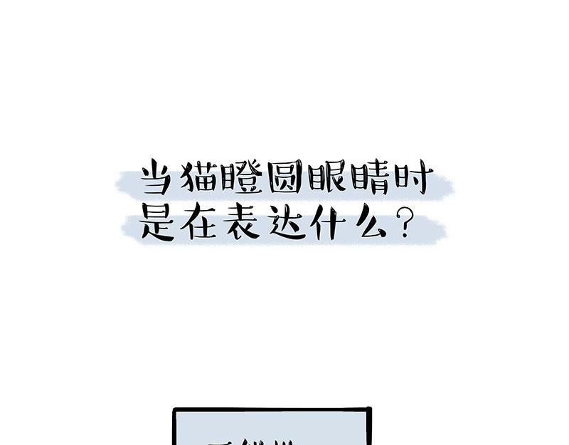 第309话 不妙小喵招25