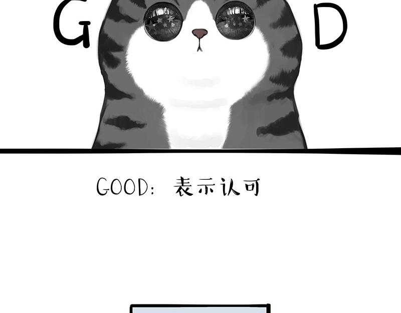 第309话 不妙小喵招28