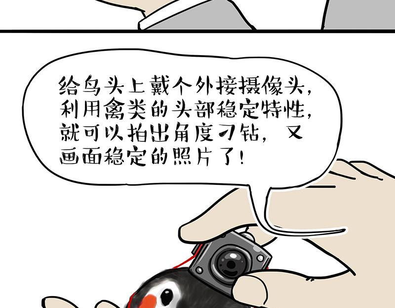 第309话 不妙小喵招9