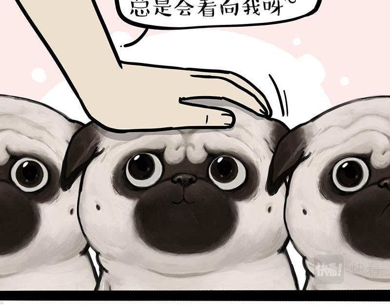 第310话 黑里寻黑11