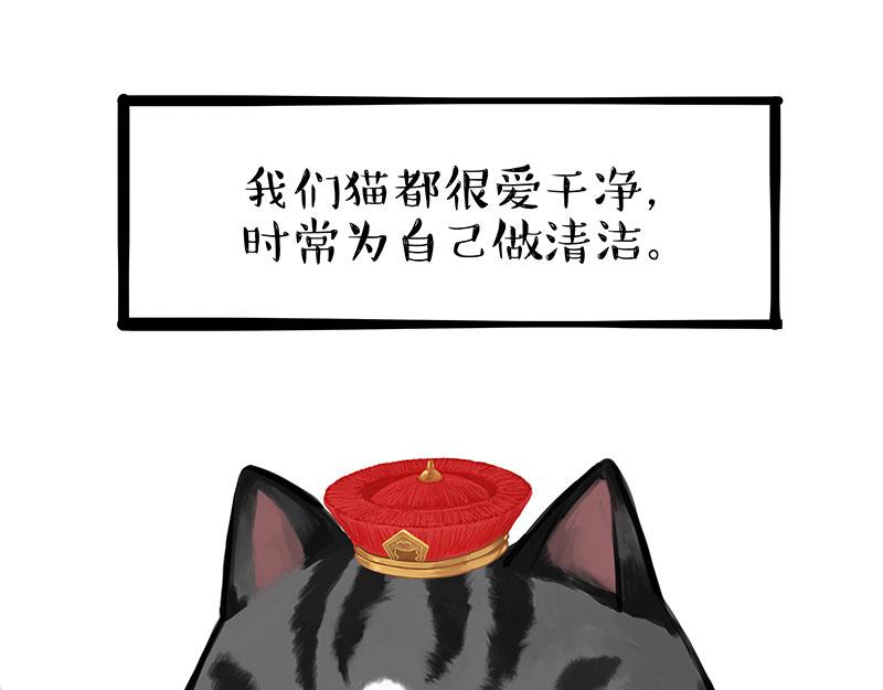 第310话 黑里寻黑13