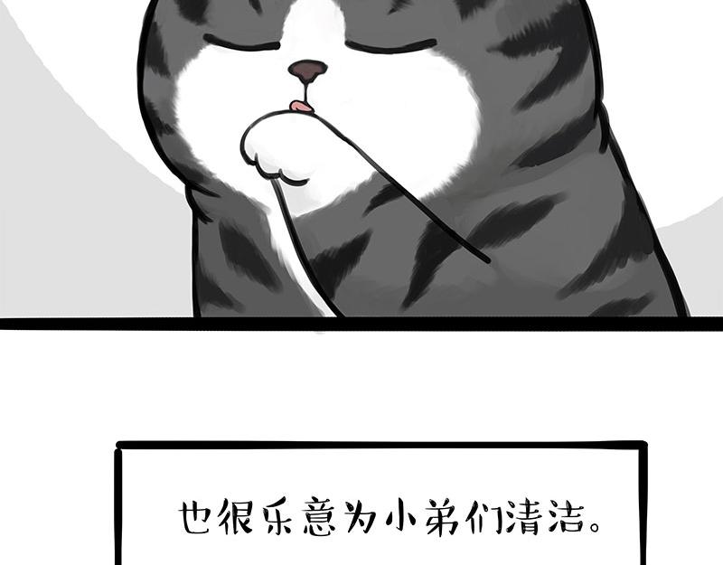 第310话 黑里寻黑14