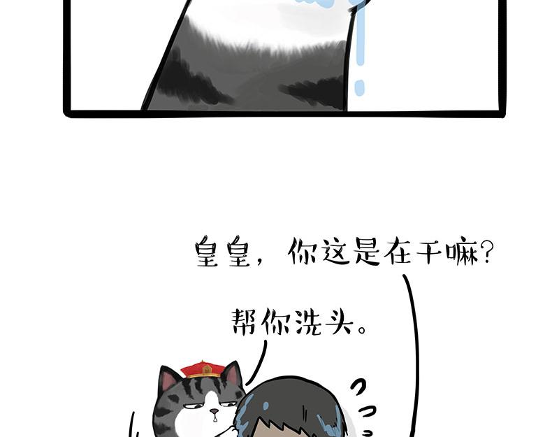 第310话 黑里寻黑20