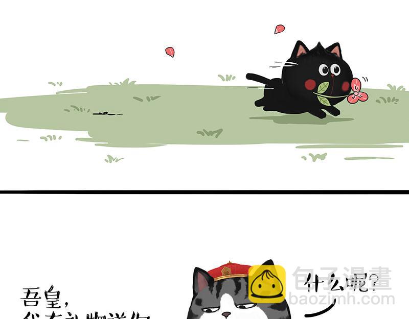 第311话 抓不住！1