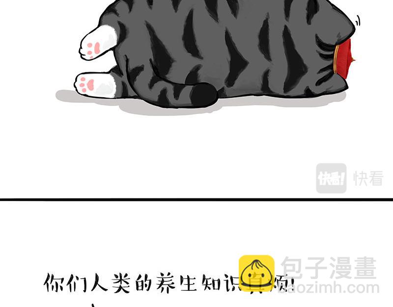 第311话 抓不住！13