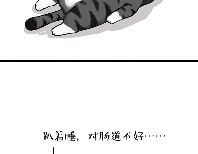 第311话 抓不住！9
