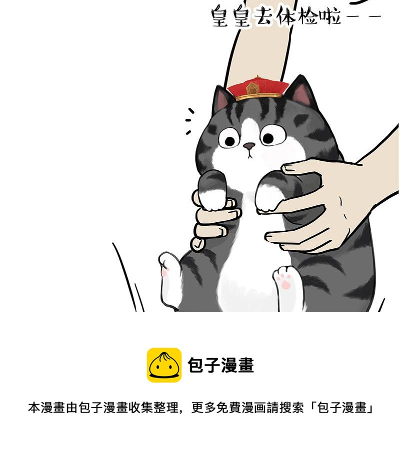 第315话 吾皇也有烦恼12