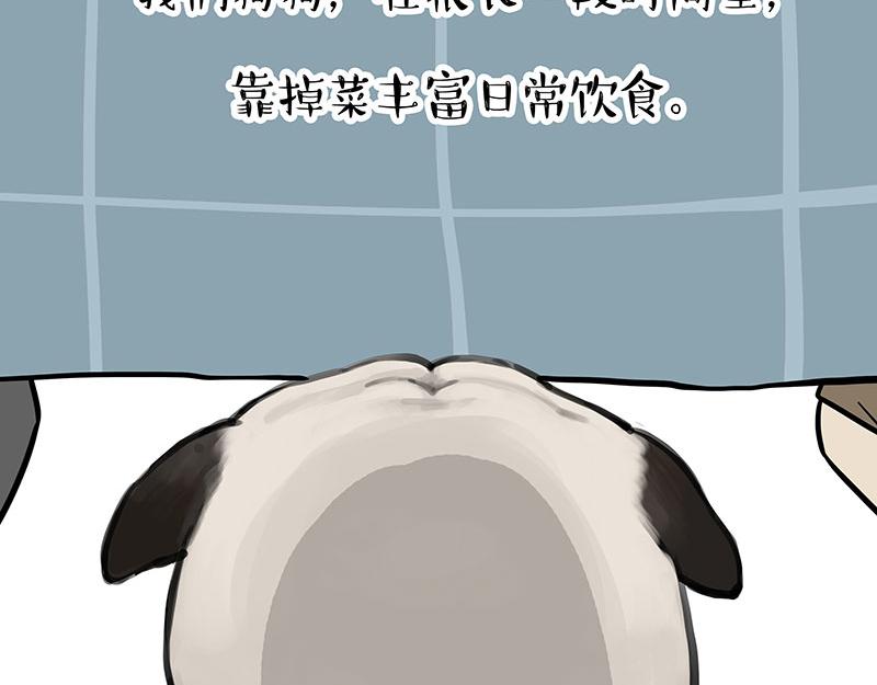 第316话 猎杀时刻9