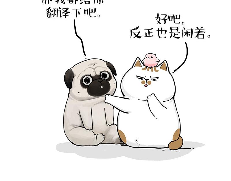 第317话 社交密码14