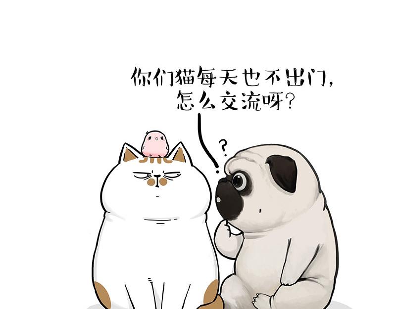 第317话 社交密码22