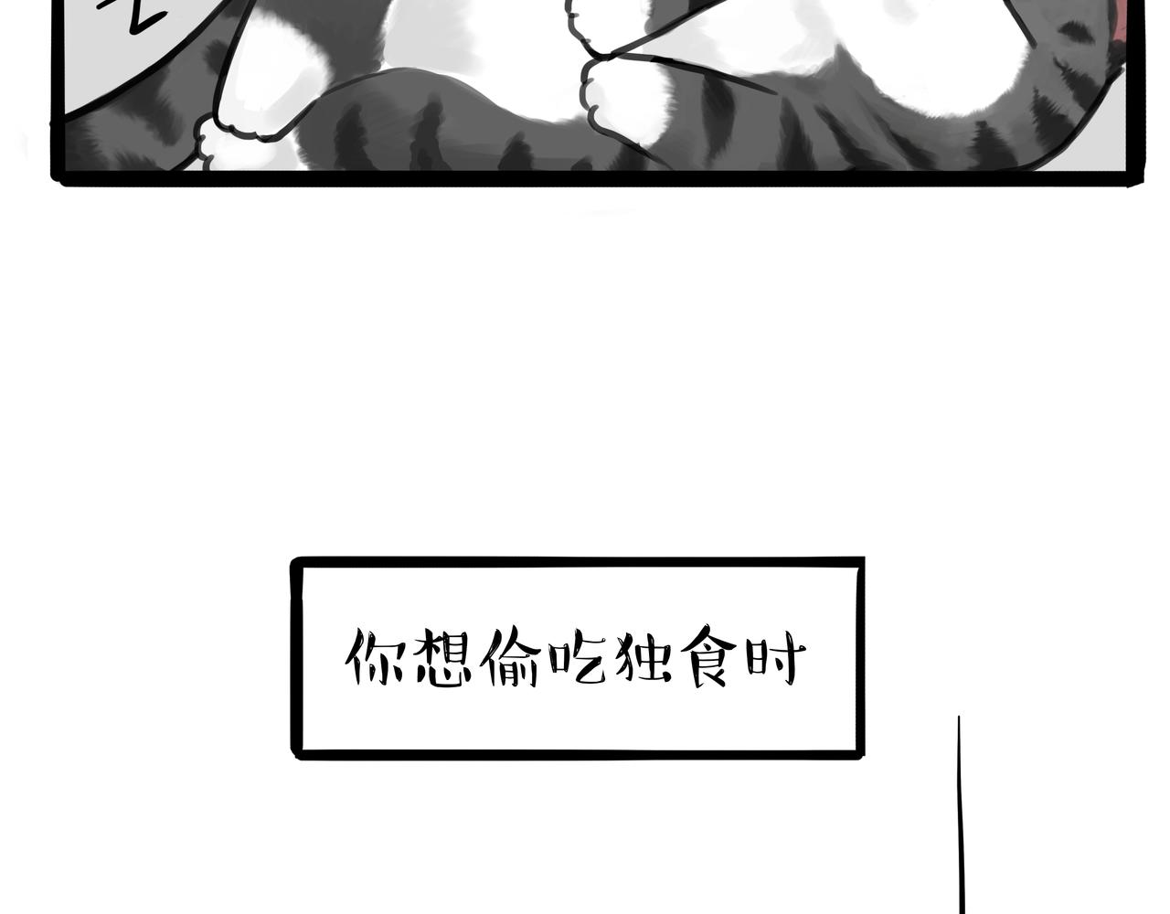 第317话 社交密码35