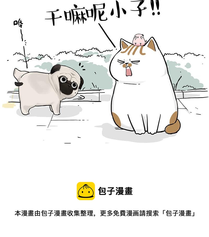 第317话 社交密码4