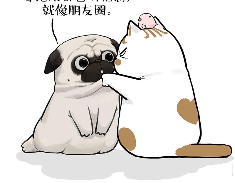 第317话 社交密码9