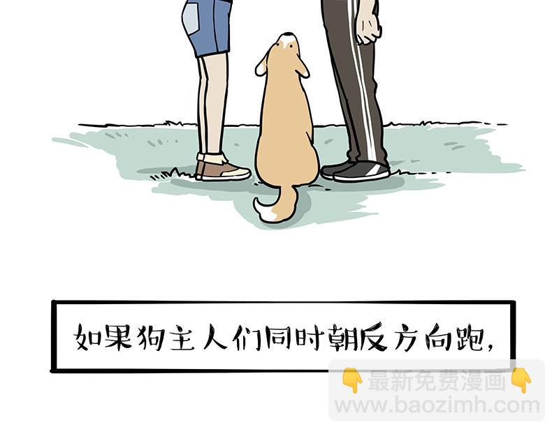 第318话 这狗没白养1