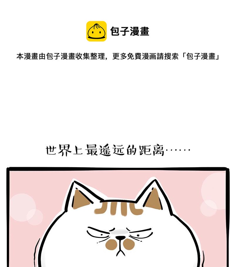 第320话 猫孵鱼0