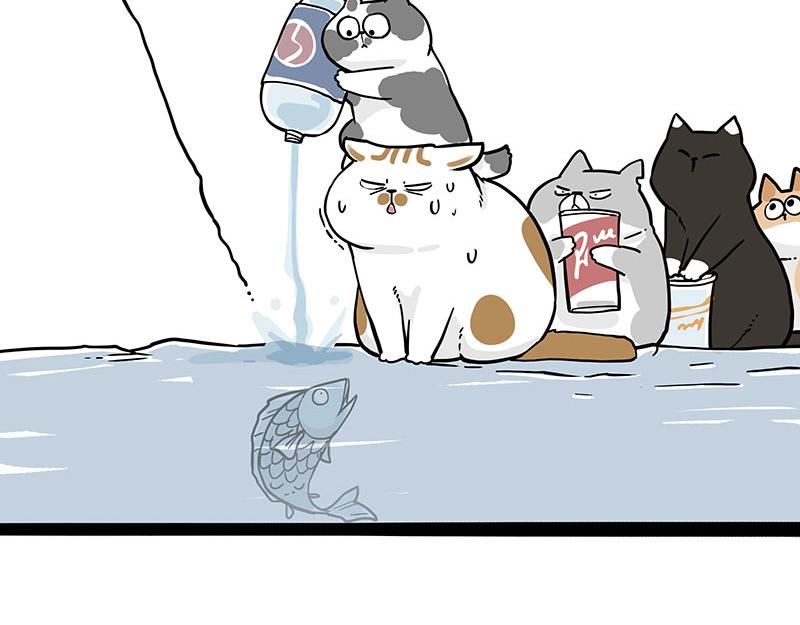 第320话 猫孵鱼10