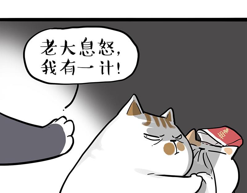 第320话 猫孵鱼14