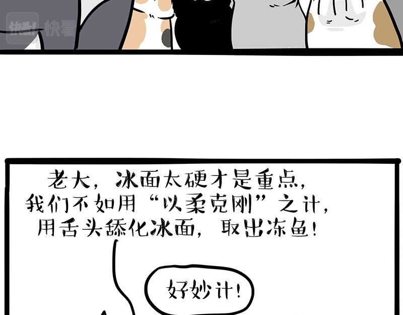 第320话 猫孵鱼17