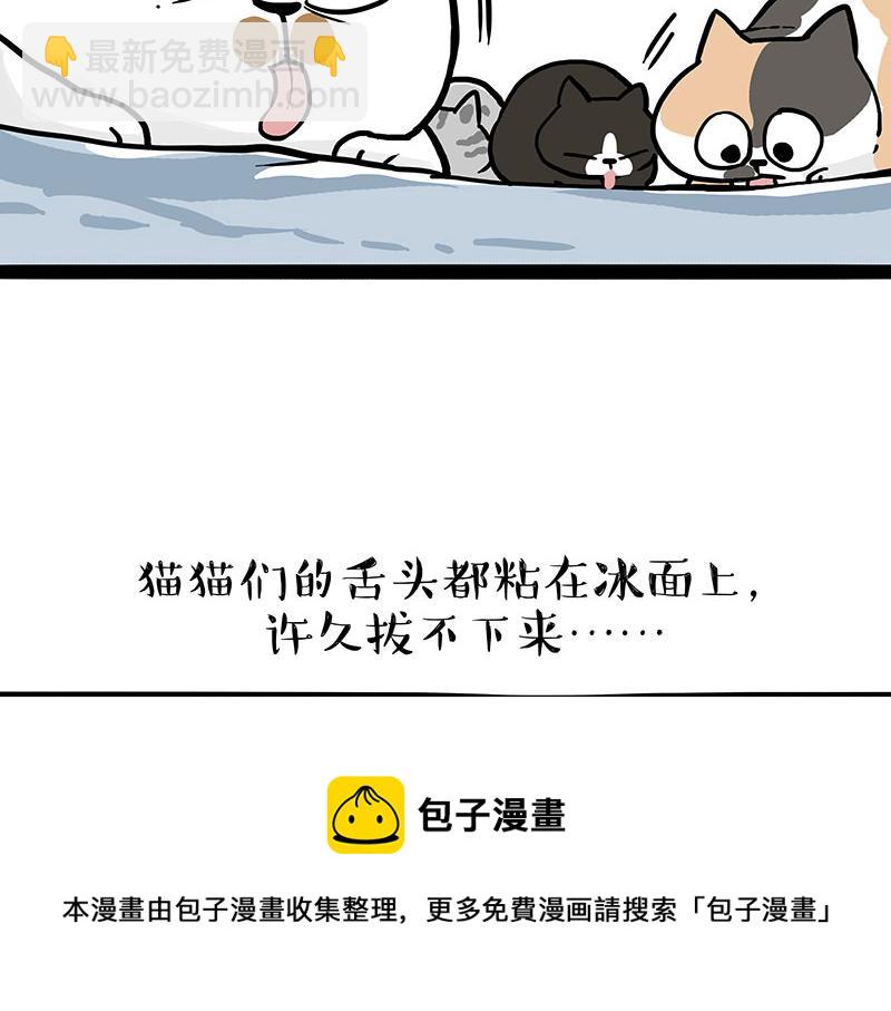 第320话 猫孵鱼20
