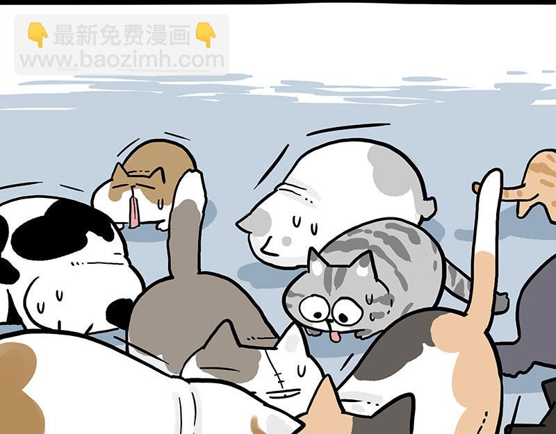 第320话 猫孵鱼21