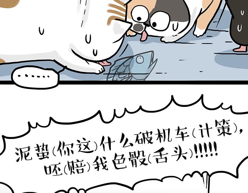 第320话 猫孵鱼22