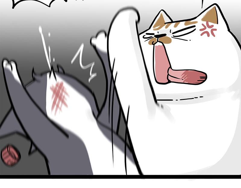第320话 猫孵鱼23